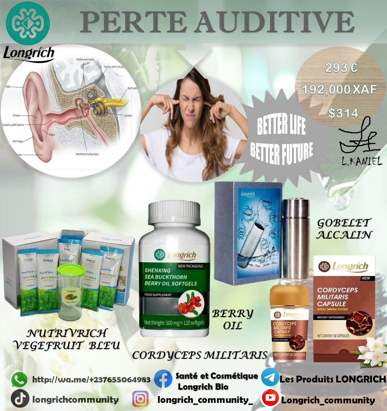 Perte Auditive Traitement Longrích