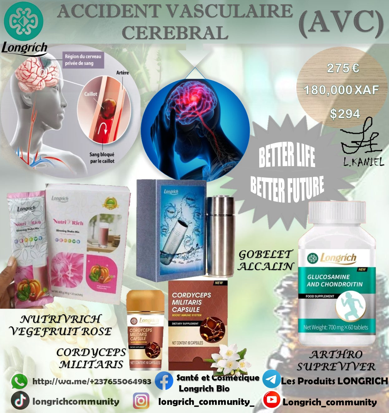 AVC Traitement Longrích