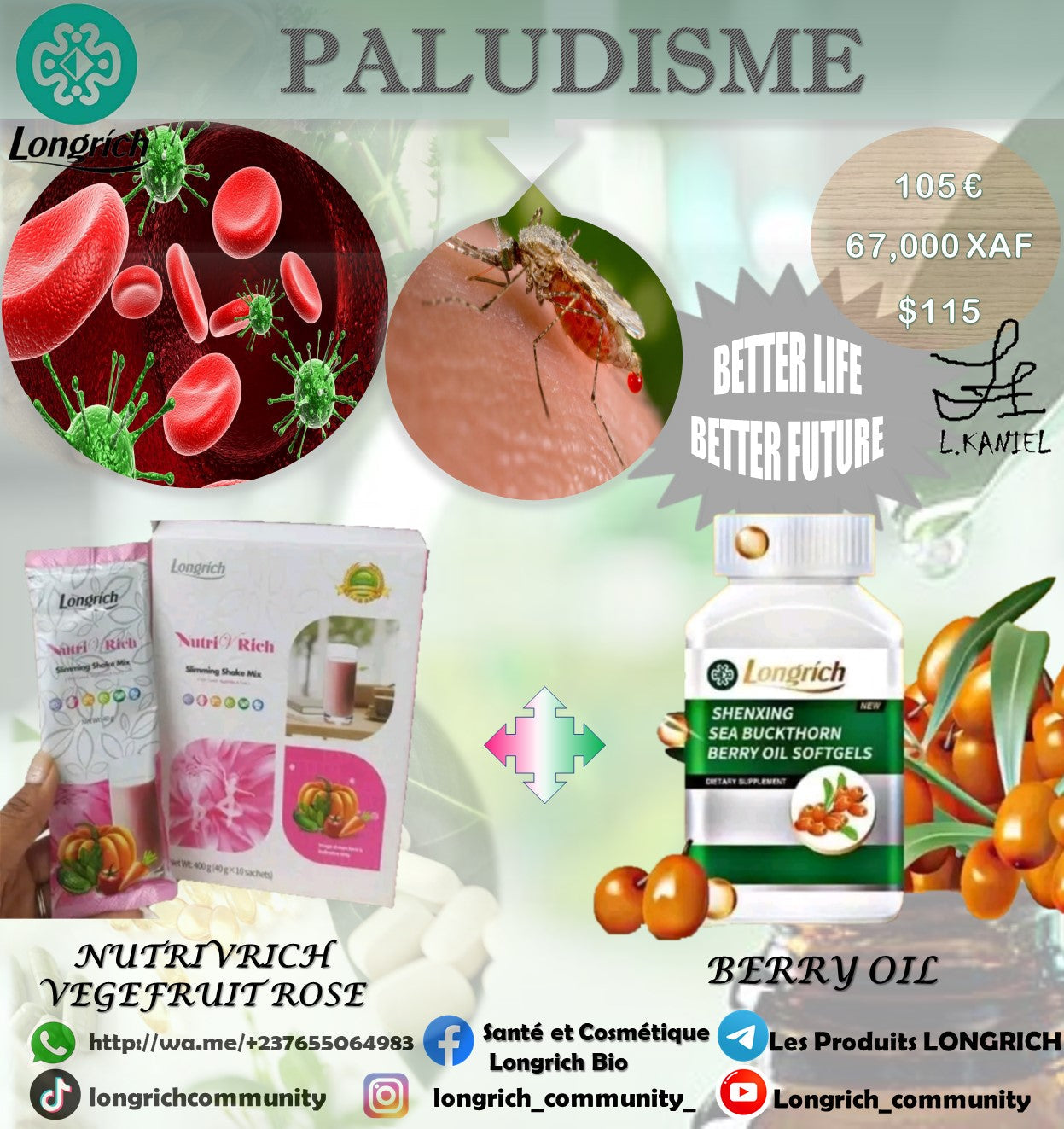 Paludisme Traitement Longrích